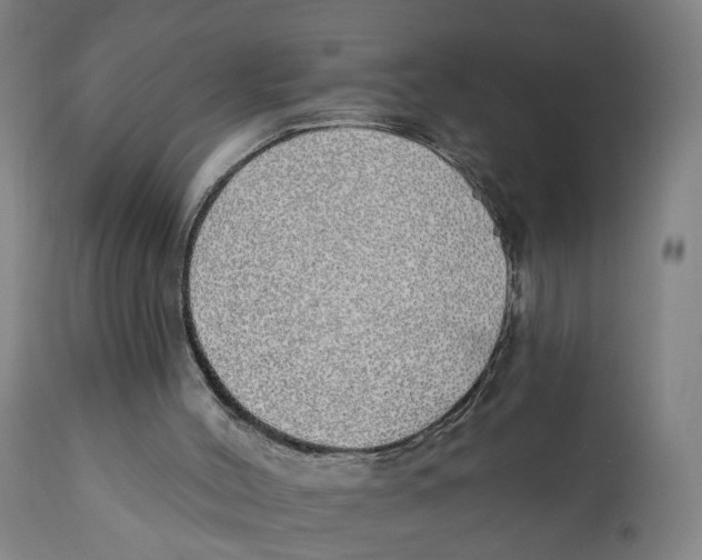 X0000111130004200907211126