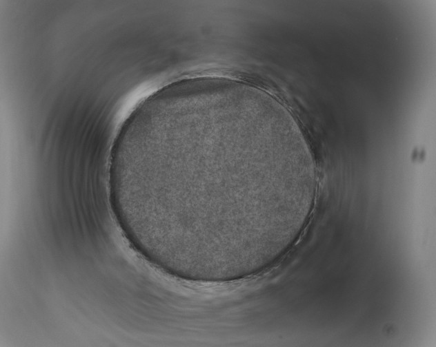 X0000111130006200907211126
