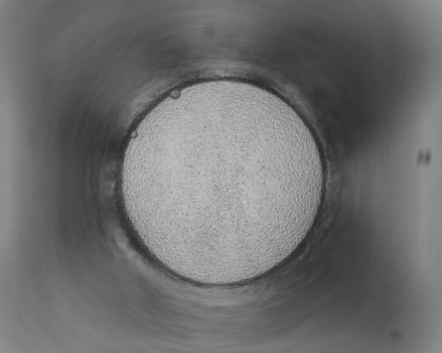 X0000111130010200907211126