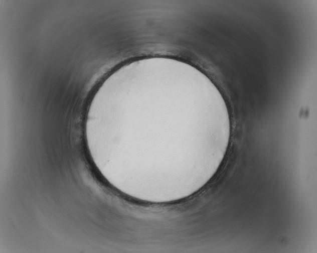 X0000111130012200907211126