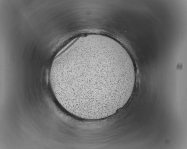 X0000111130013200907211126