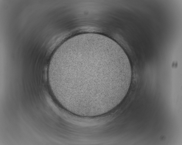 X0000111130014200907211126