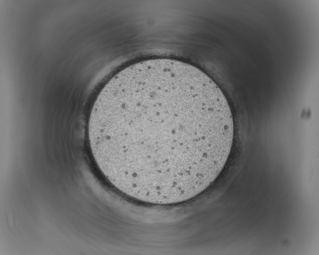 X0000111130016200907211126