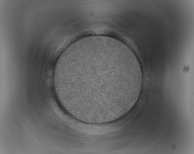 X0000111130018200907211126
