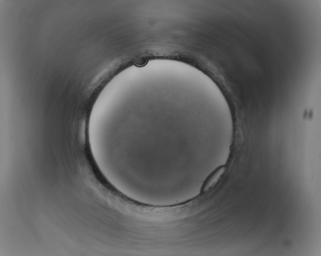 X0000111130019200907211126