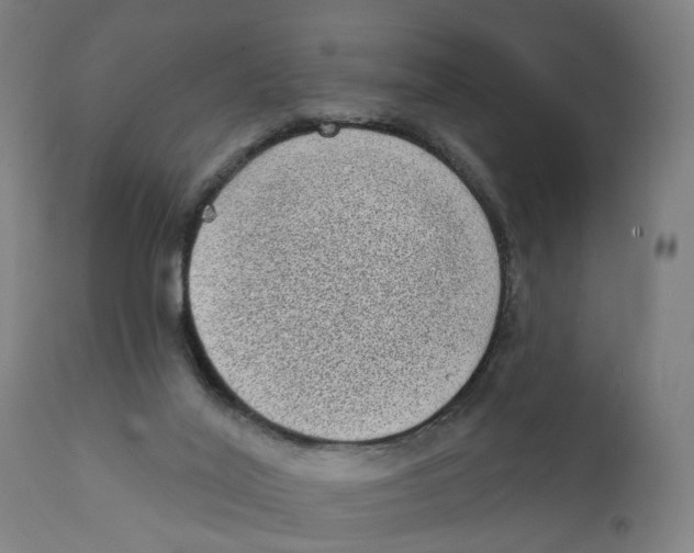 X0000111130020200907211126