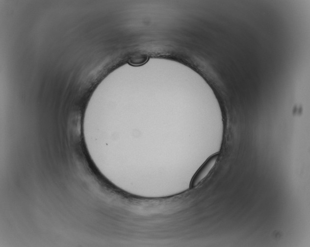 X0000111130021200907211126