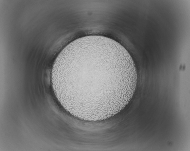 X0000111130022200907211125