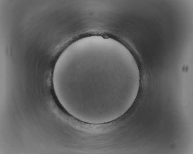 X0000111130023200907211125