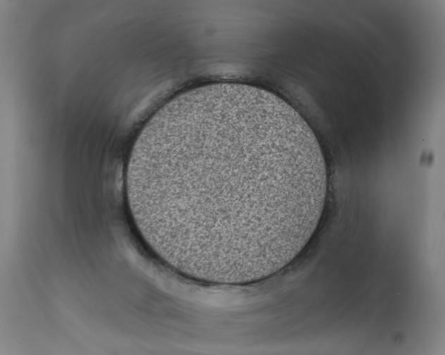 X0000111130024200907211125