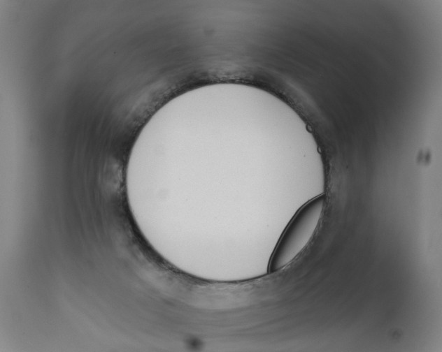 X0000111130025200907211125