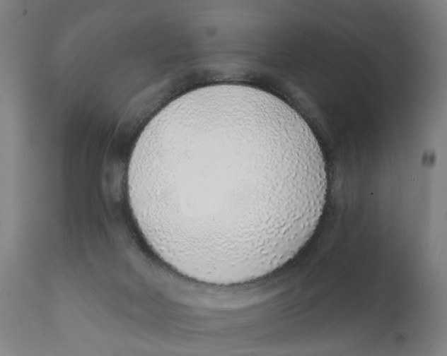 X0000111130026200907211125