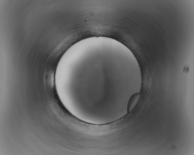 X0000111130027200907211125
