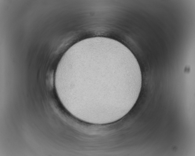 X0000111130028200907211125
