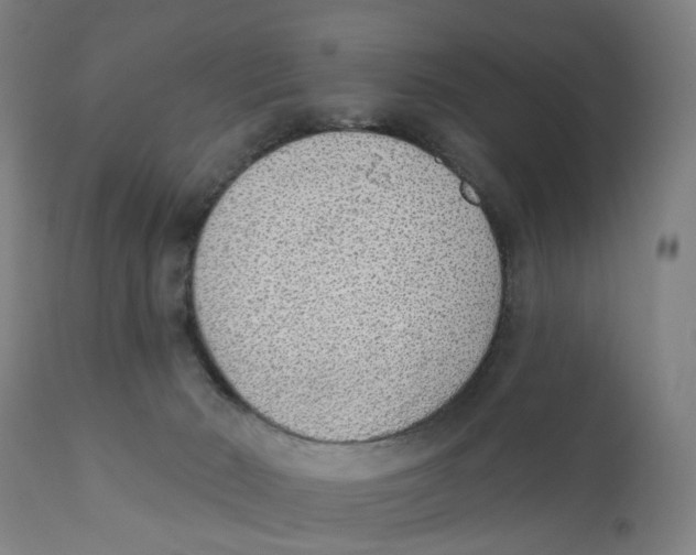 X0000111130030200907211125