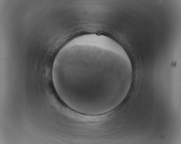 X0000111130031200907211125