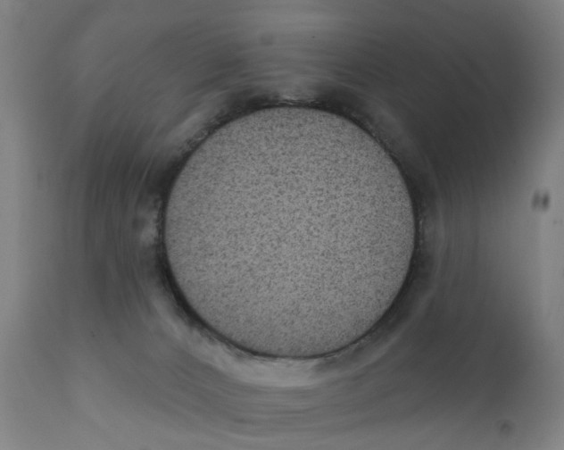 X0000111130032200907211125