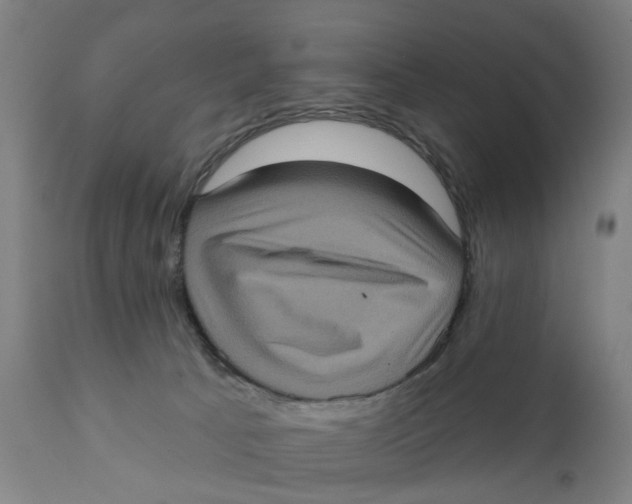 X0000111130033200907211125