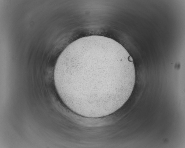 X0000111130034200907211125