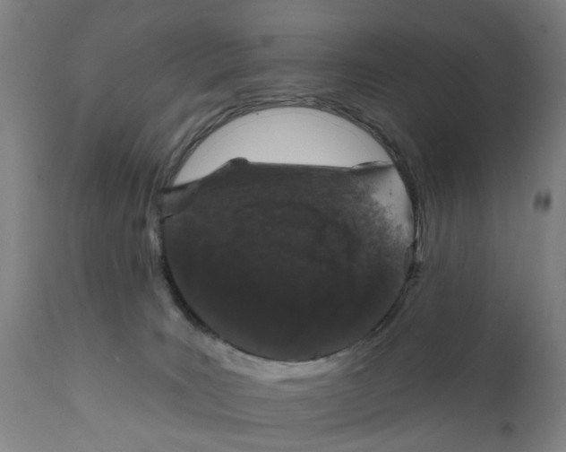 X0000111130035200907211125
