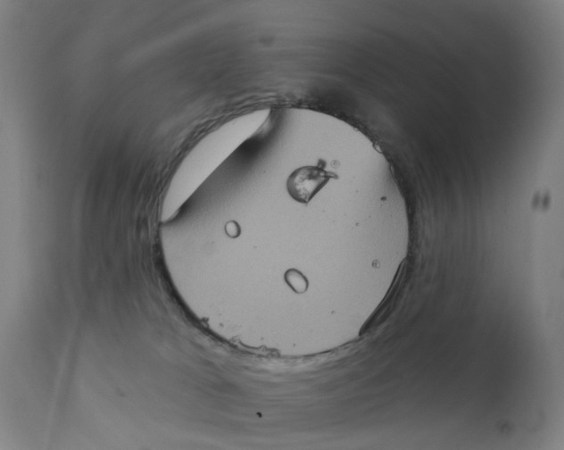 X0000111130037200907211125
