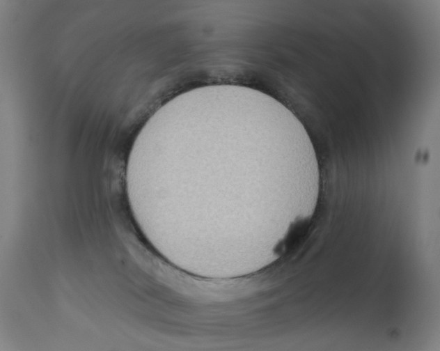 X0000111130038200907211125