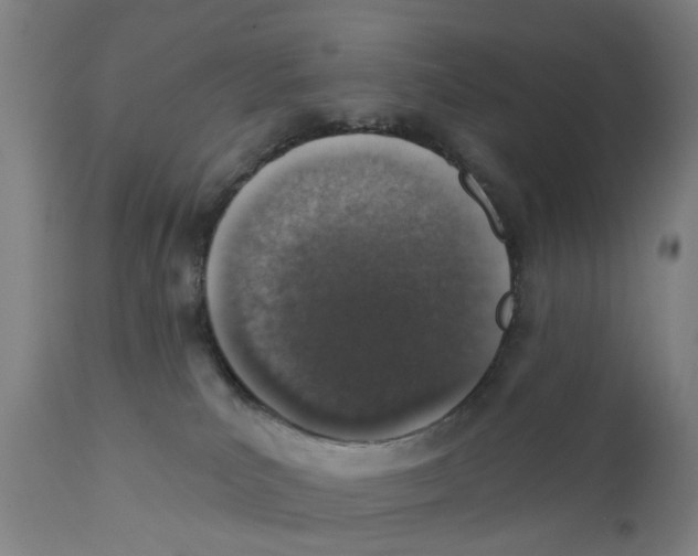 X0000111130039200907211125