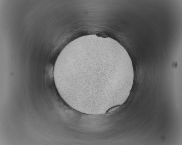 X0000111130041200907211125