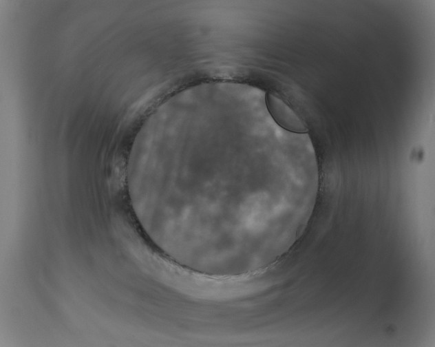 X0000111130043200907211125