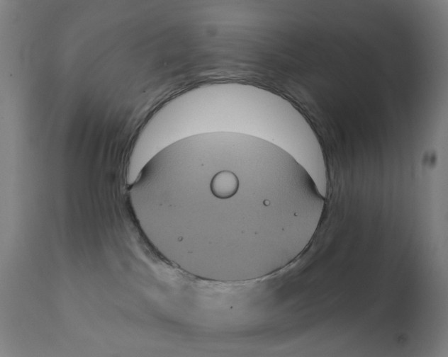 X0000111130045200907211125