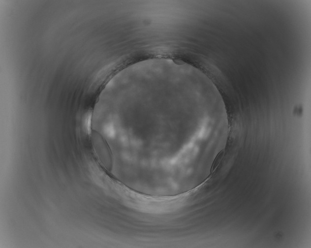 X0000111130047200907211125