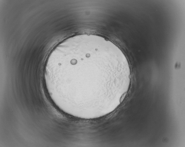 X0000111130049200907211124