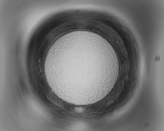 X0000111130050200907211124