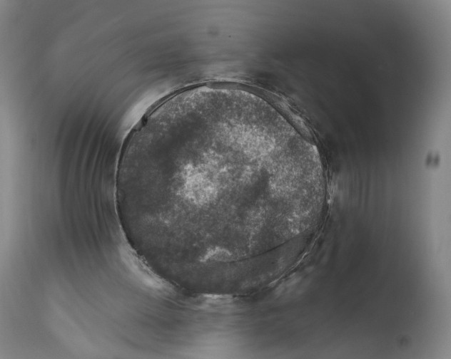 X0000111130052200907211124