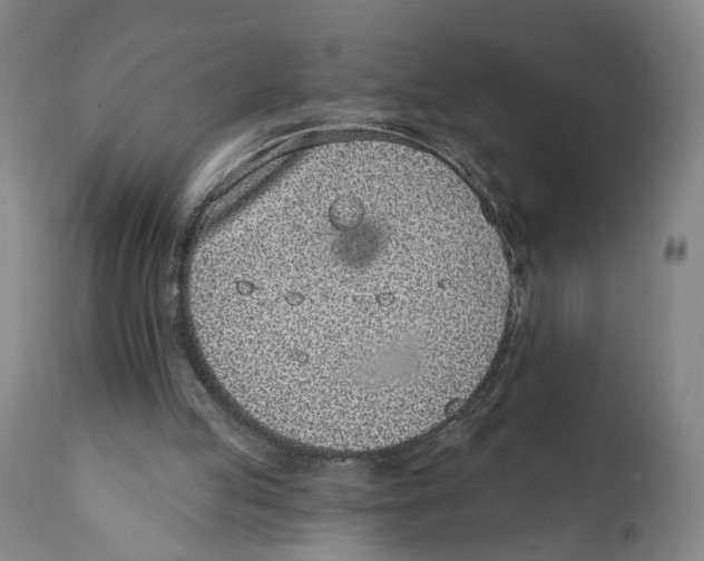 X0000111130053200907211124