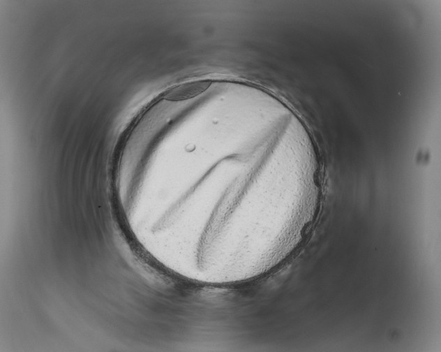 X0000111130055200907211124
