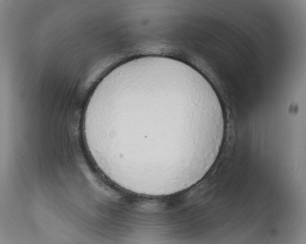 X0000111130058200907211124