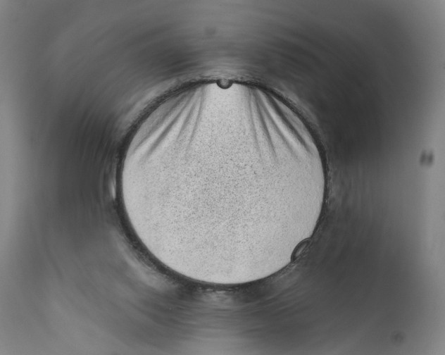 X0000111130062200907211124