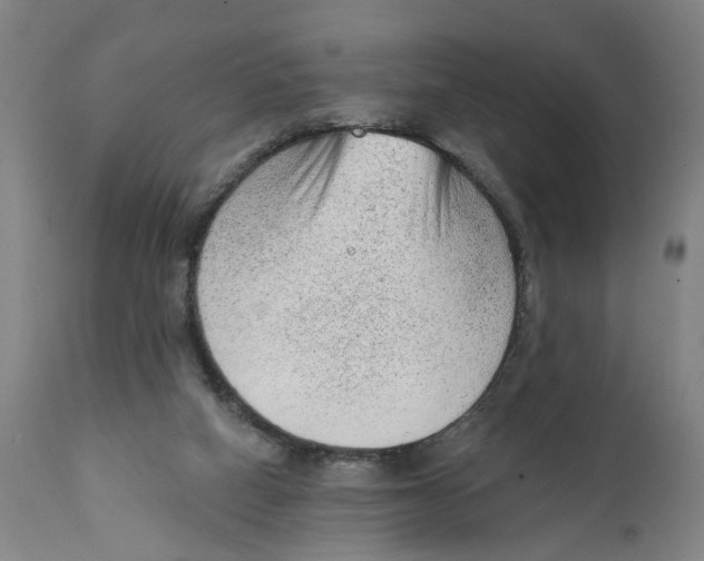 X0000111130066200907211124