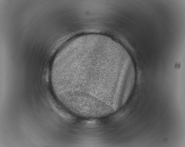X0000111130068200907211124