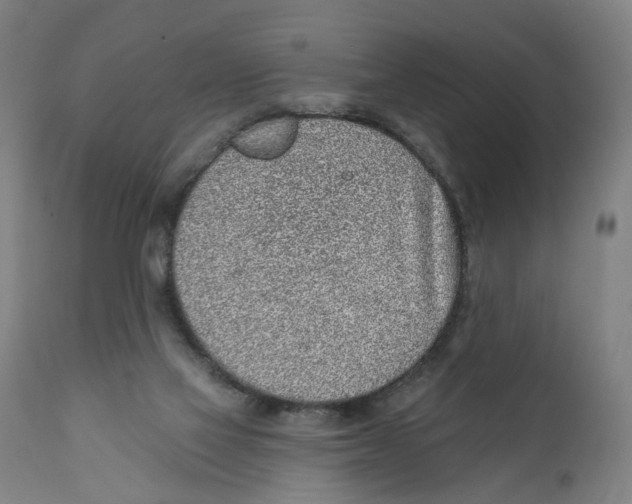 X0000111130069200907211124