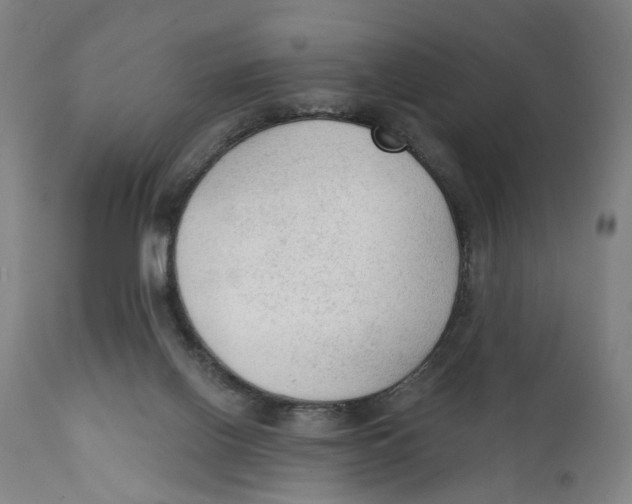 X0000111130070200907211124