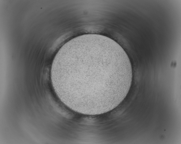 X0000111130071200907211124