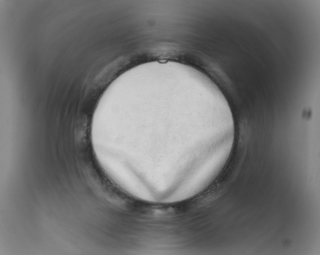 X0000111130073200907211124
