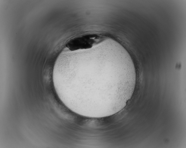 X0000111130074200907211125