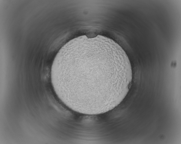 X0000111130077200907211125