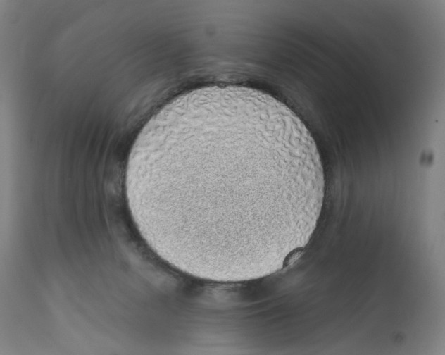 X0000111130078200907211125
