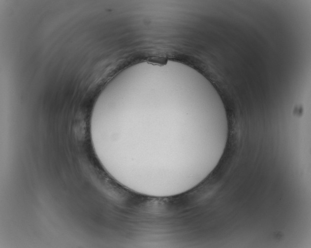 X0000111130080200907211125