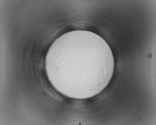 X0000111130081200907211125