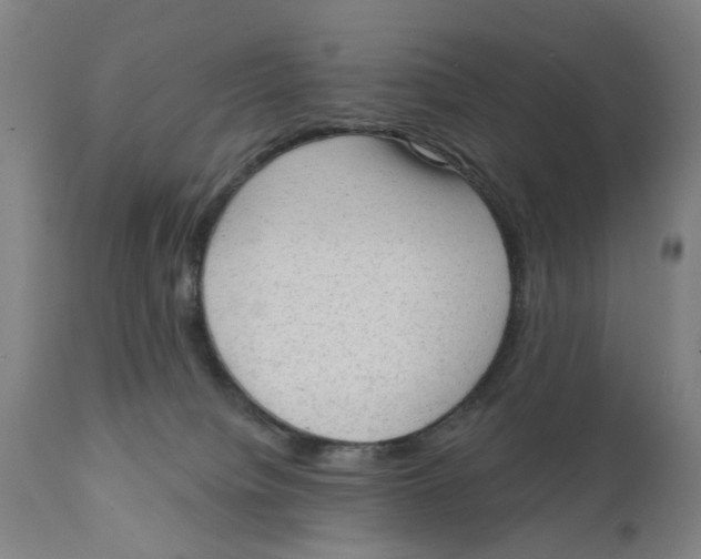 X0000111130084200907211125